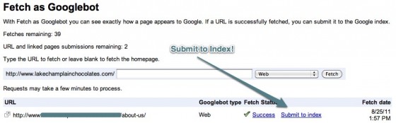 Submit URL in Google Webmaster Tools
