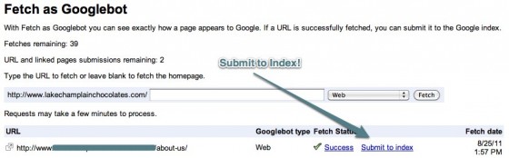 Submit URL in Google Webmaster Tools
