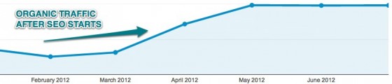 Organic Search Traffic - Google Analytics