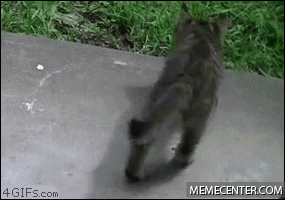 no-coordination