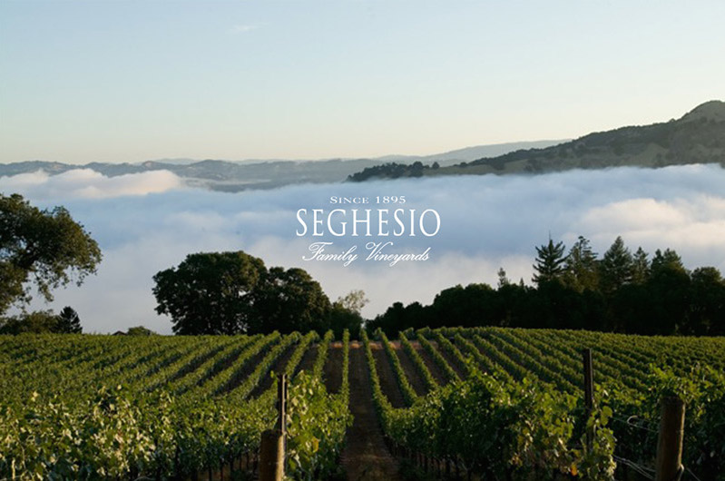 seghesio_vineyards image