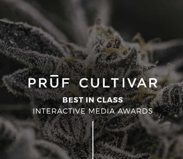 5.19.17-PrufAwards-Mingle-Feature copy