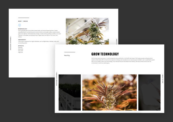 pruf cultivar website - a new cannabis brand